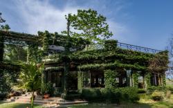 The Riverwood Forest Retreat- Dooars