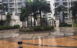 Palm Tree Villas Cluster 2