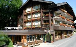 Hotel Kreuz Lenk