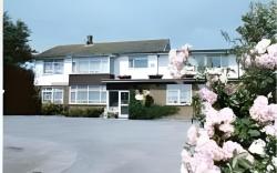 The Coastyard Hotel and garden Chalets.