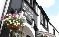 Three Salmons Hotel