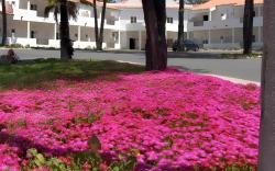 Hotel Rural Monte da Leziria