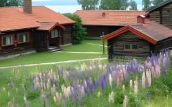 Green Hotel