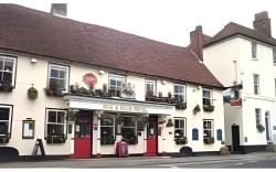 The Dog & Bear Hotel