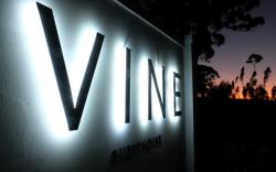 Vine Guesthouse