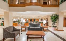 Wingate by Wyndham Dallas Love Field