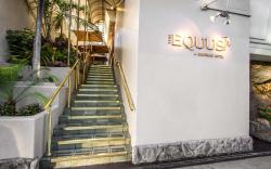The Equus