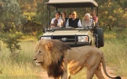 Honeyguide Ranger Camp