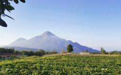 Avila Ketapan Rame Hotel