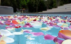 Stannards Guest Lodge