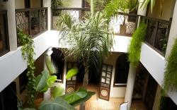 Riad Bamaga