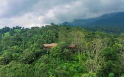 Vythiri Mist Resort
