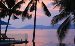 Celes Samui