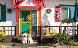 Gosung Christmas Pension