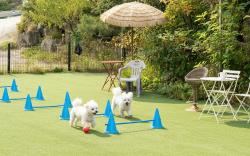 Gapyeong Areummaru Pension