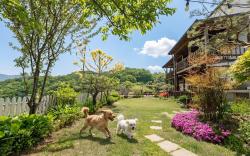 Gapyeong Art Pension