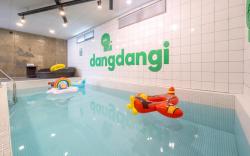 Gapyeong Dangdangi Pet Poolvilla Blue