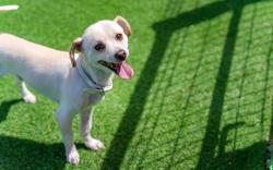 Gangneng Soowarae Pension