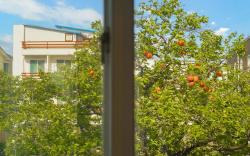 Goseong Gamnamu Pension