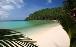 Green Papaya Beach Resort, Koh Phangan