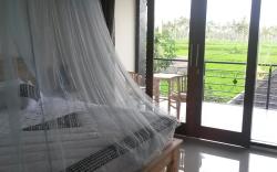 Demank Hidden Guesthouse