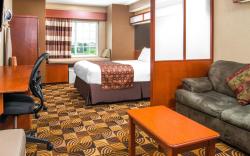 Microtel Inn & Suites by Wyndham Lincoln