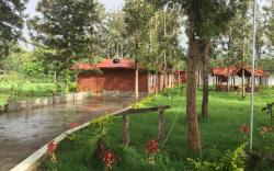 Coorg Nest Cottages