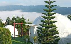 Stratus  Resort