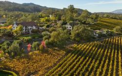 Le Petit Pali St Helena