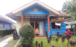 Villa Kota Bunga Gladiol