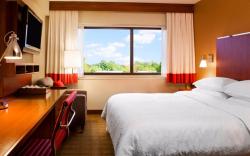 Four Points by Sheraton Dallas Fort Worth Airport North