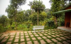 Yedamakky Plantations
