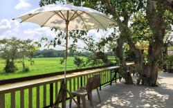 Six Nature Resort