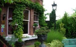 The Sycamore Guest House