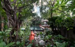 The Nature