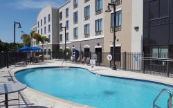 Holiday Inn Express Hotel & Suites Tampa-USF-Busch Gardens By IHG