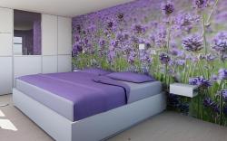 Hotel Zum Verwalter Dornbirn