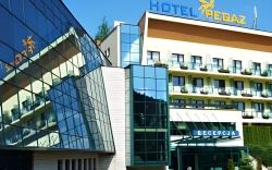 Hotel Pegaz