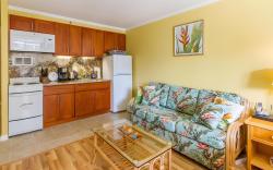Tropical Studios at Marine Surf Waikiki