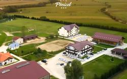 Panicel
