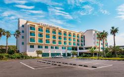 Pampas Hotel Jeju
