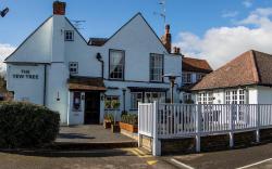 The Yew Tree