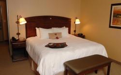 Hampton Inn Watertown