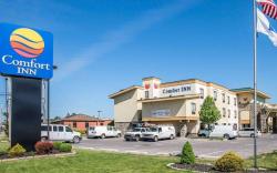 Comfort Inn Williamsport