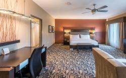 Holiday Inn Express & Suites North Dallas at Preston By IHG
