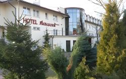 Hotel Ambasador Chojny