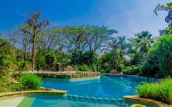 Hotel Laguna Anjuna, Goa