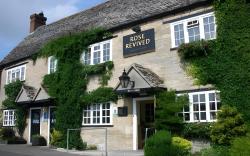 Rose Revived by Chef & Brewer Collection