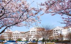 SOL BEACH YANGYANG (SOL BEACH HOTEL & RESORT YANGYANG)