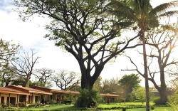 Hacienda Guachipelin Volcano Ranch Hotel & Hot Springs